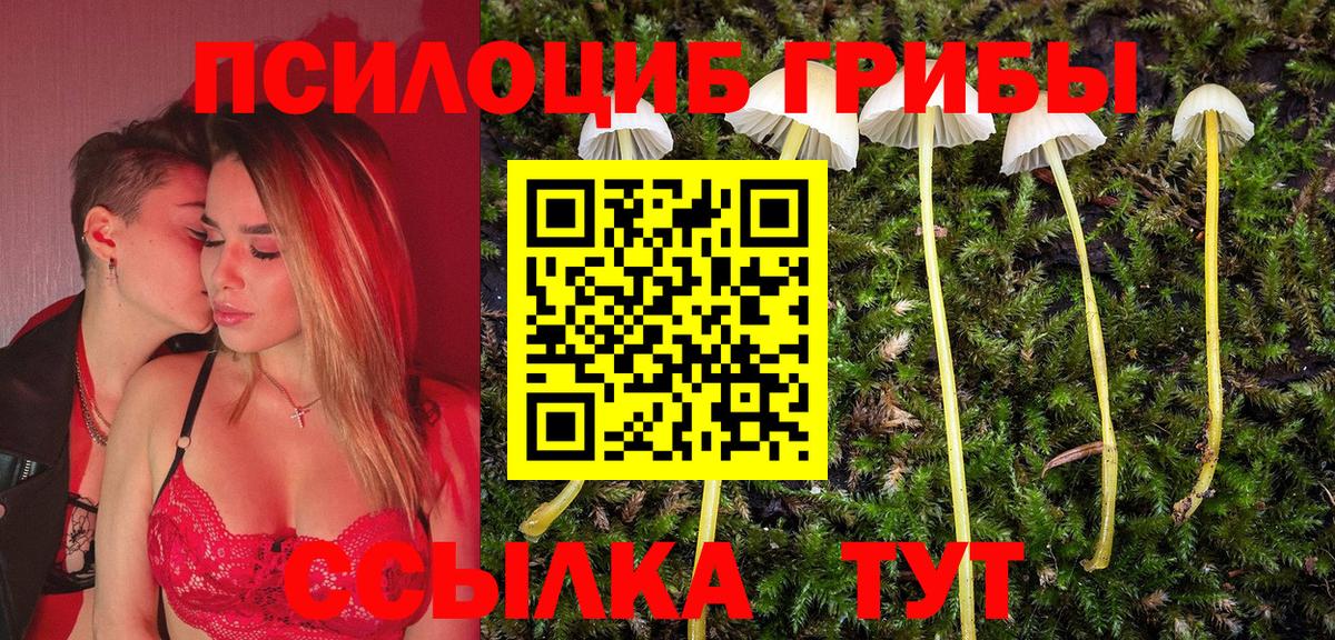 Псилоцибиновые грибы Psilocybe Коломна